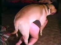 Dog fucking and pounding a young teen beastiality lover